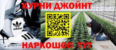 молекула духа Лесосибирск
