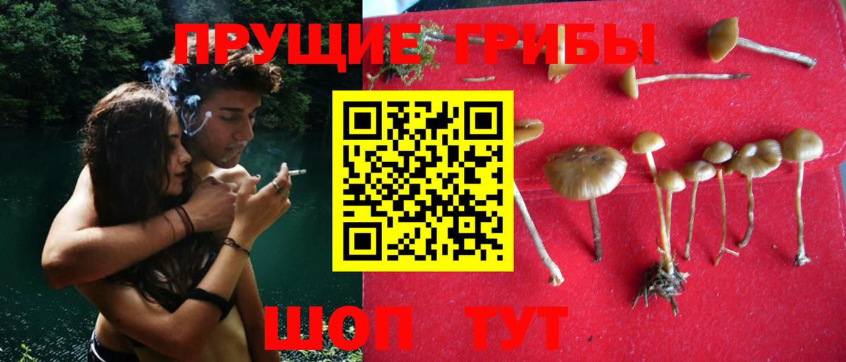 Псилоцибиновые грибы прущие грибы Кирово-Чепецк