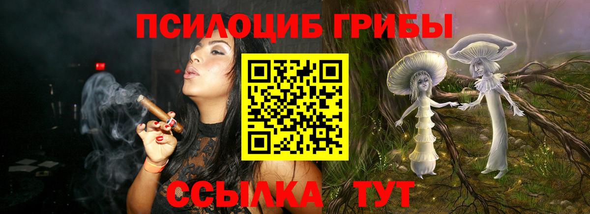 Псилоцибиновые грибы прущие грибы Кирово-Чепецк